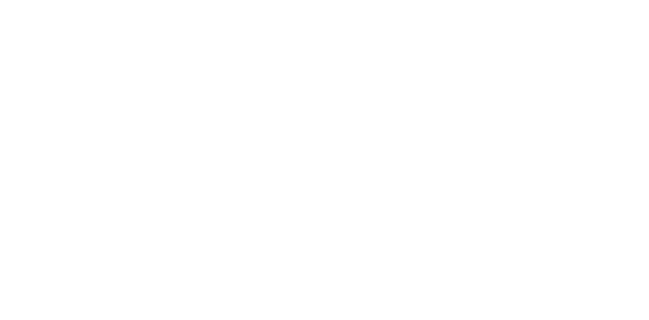 PIE — Payment International Enterprise